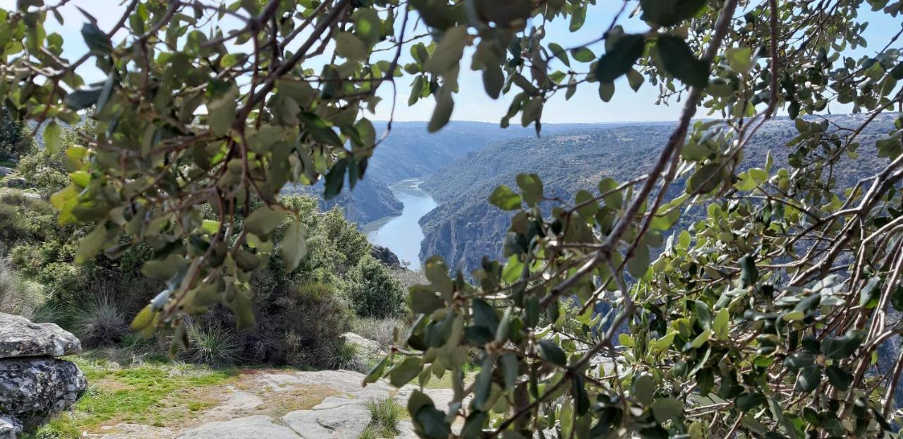 Affittacamere La Casa Del Regidor Fermoselle Esterno foto